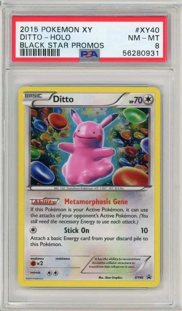 Ditto