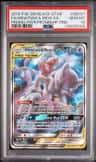 Mewtwo & Mew Gx