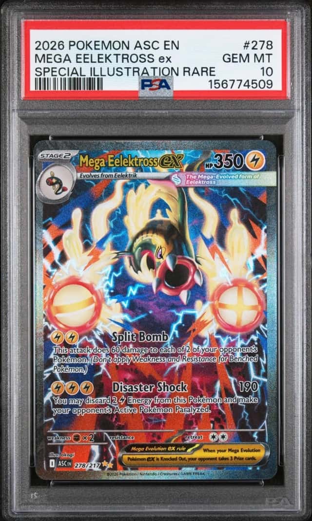 MEGA EELEKTROSS ex