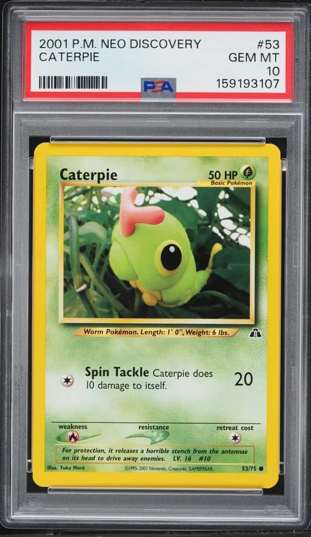 Caterpie