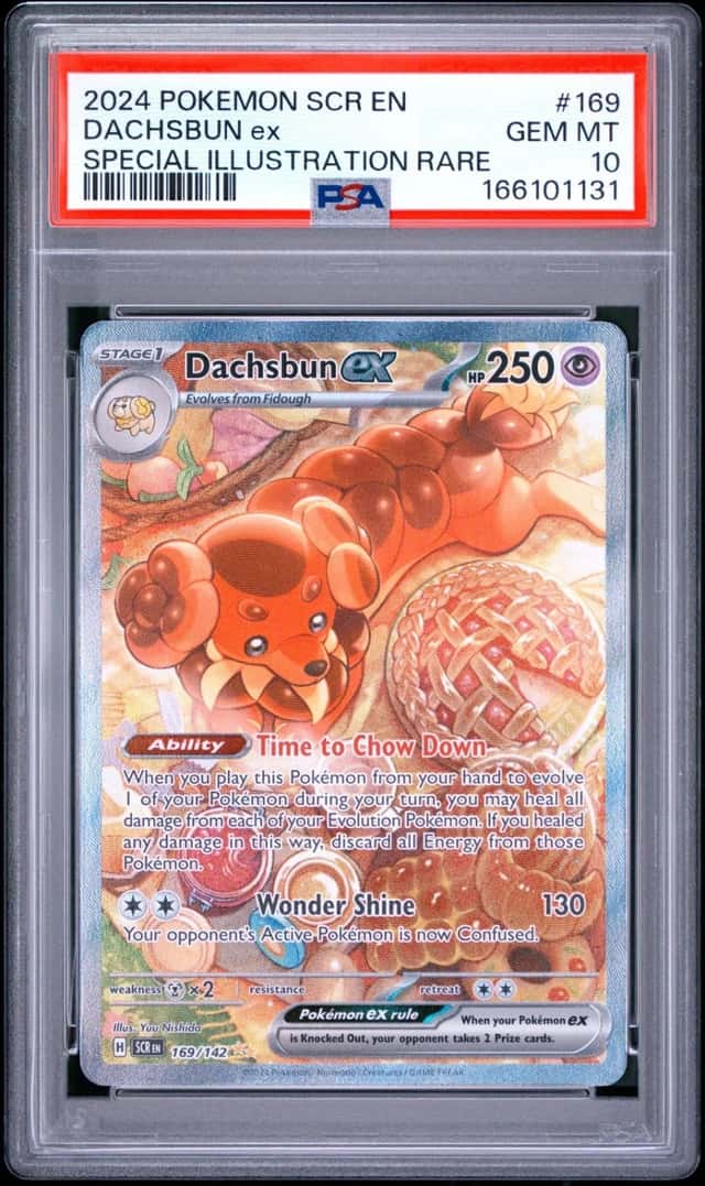 DACHSBUN ex
