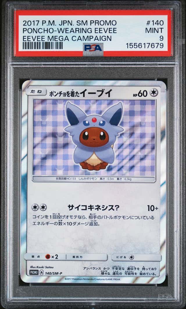 Poncho-Wearing Eevee