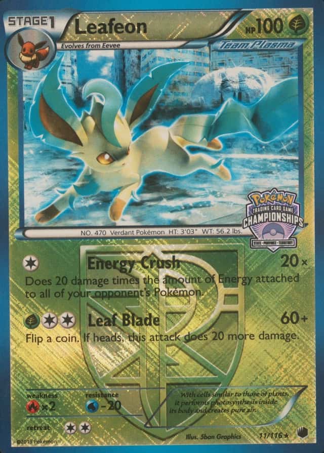 Holo · American Championships Crosshatch North Province State Territory