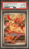 Plusle