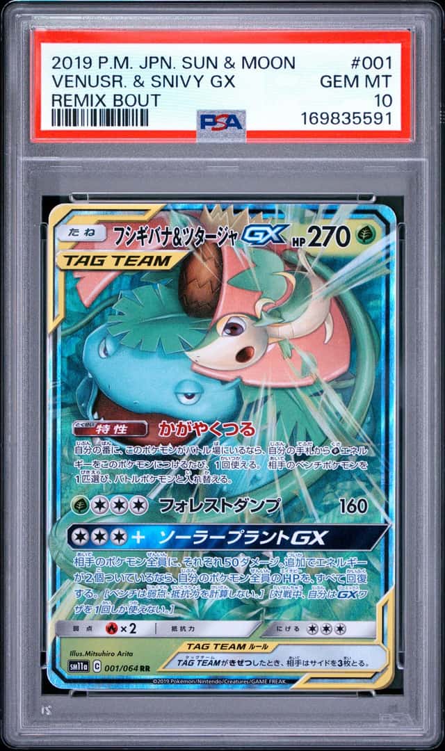 Venusaur & Snivy GX