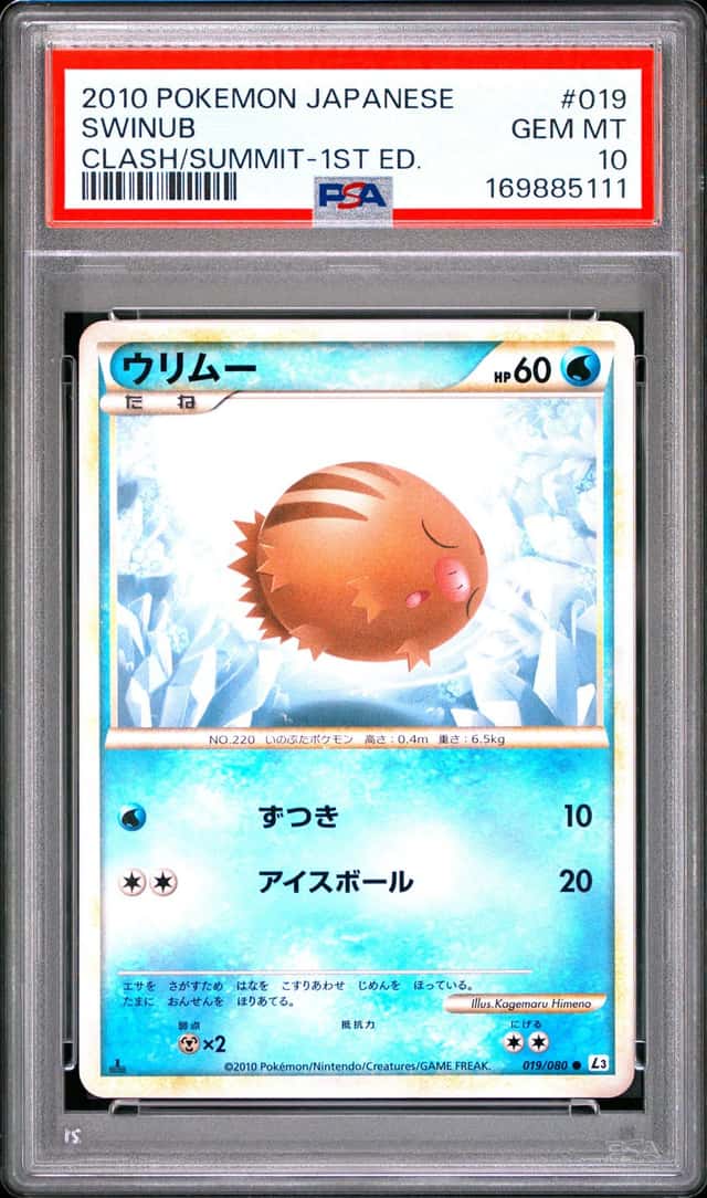 Swinub