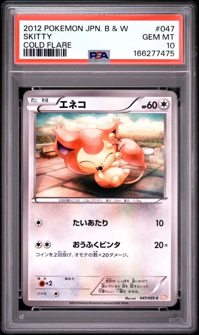 Skitty