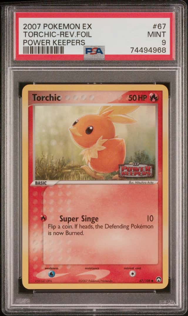 Torchic
