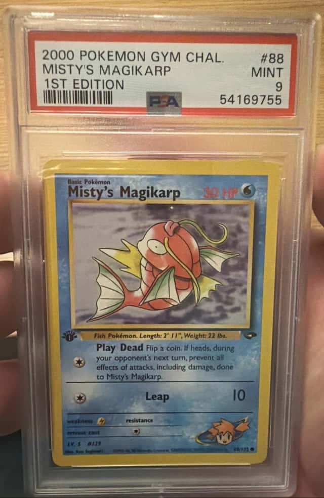Misty's Magikarp