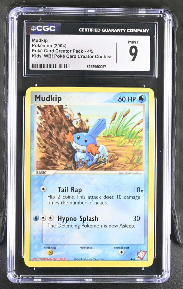 Mudkip