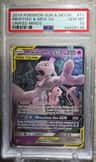 Mewtwo & Mew Gx