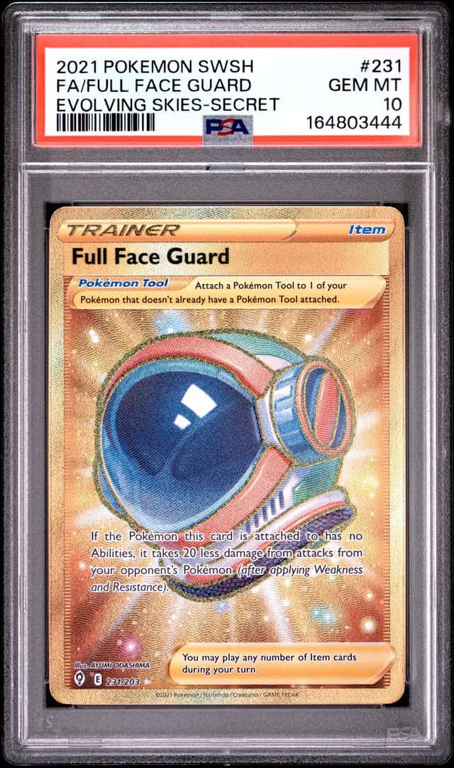 Full Face Guard
