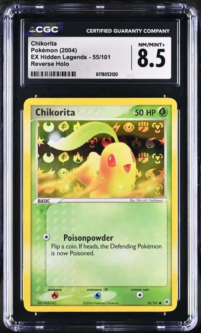Chikorita