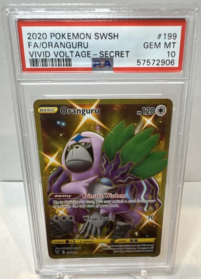 Oranguru