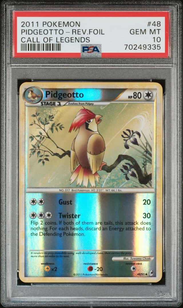 PIDGEOTTO