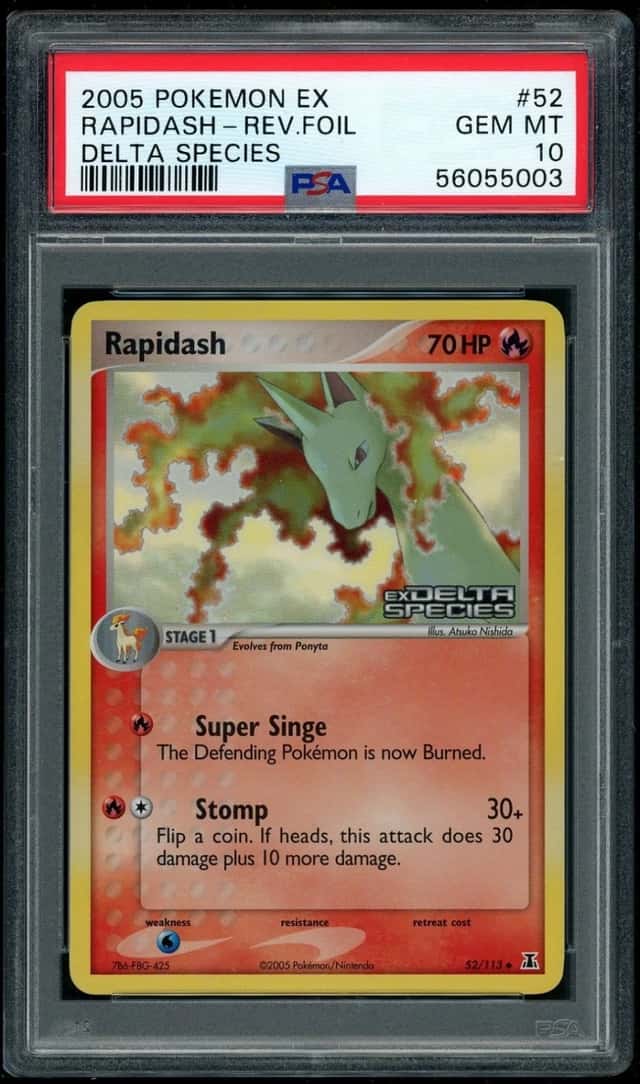 Rapidash