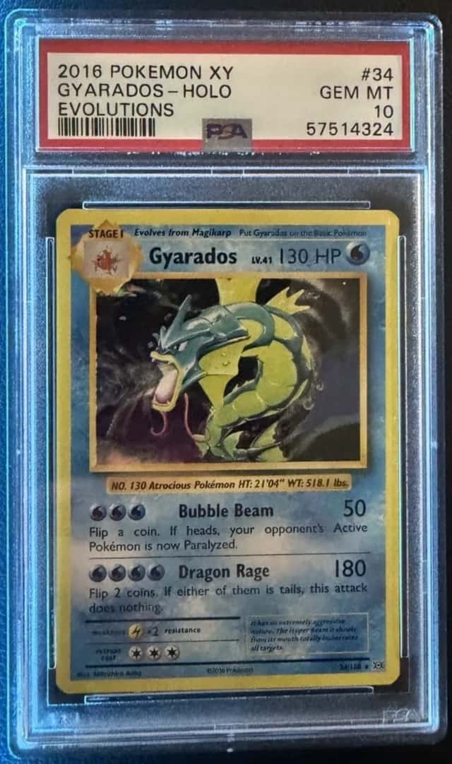 Gyarados