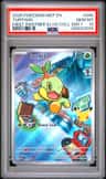 Turtwig