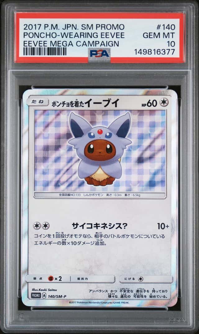 Poncho-Wearing Eevee