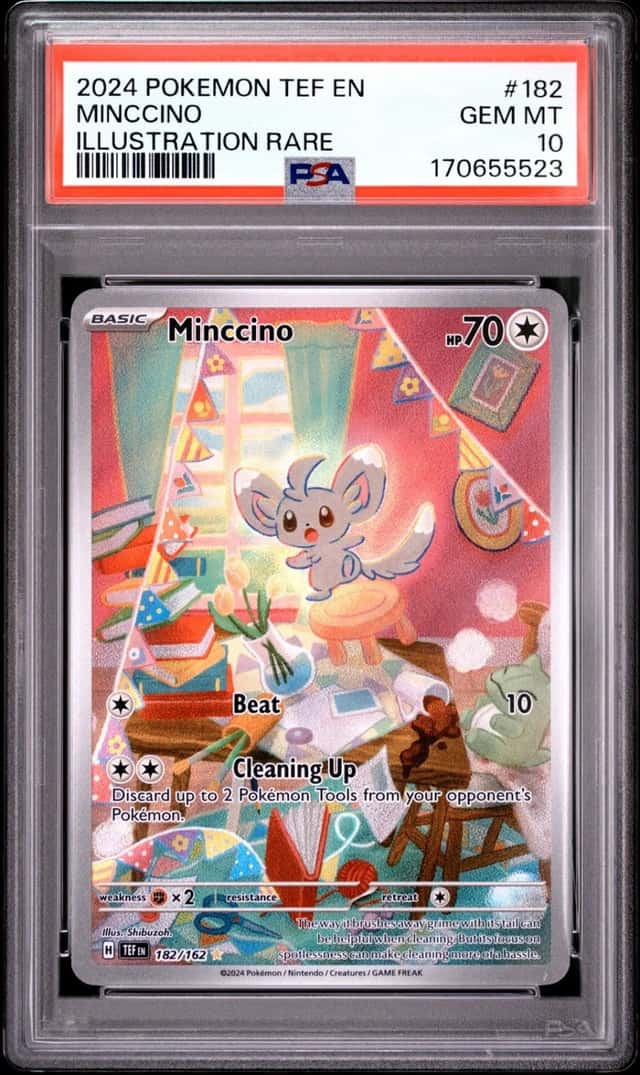 Minccino