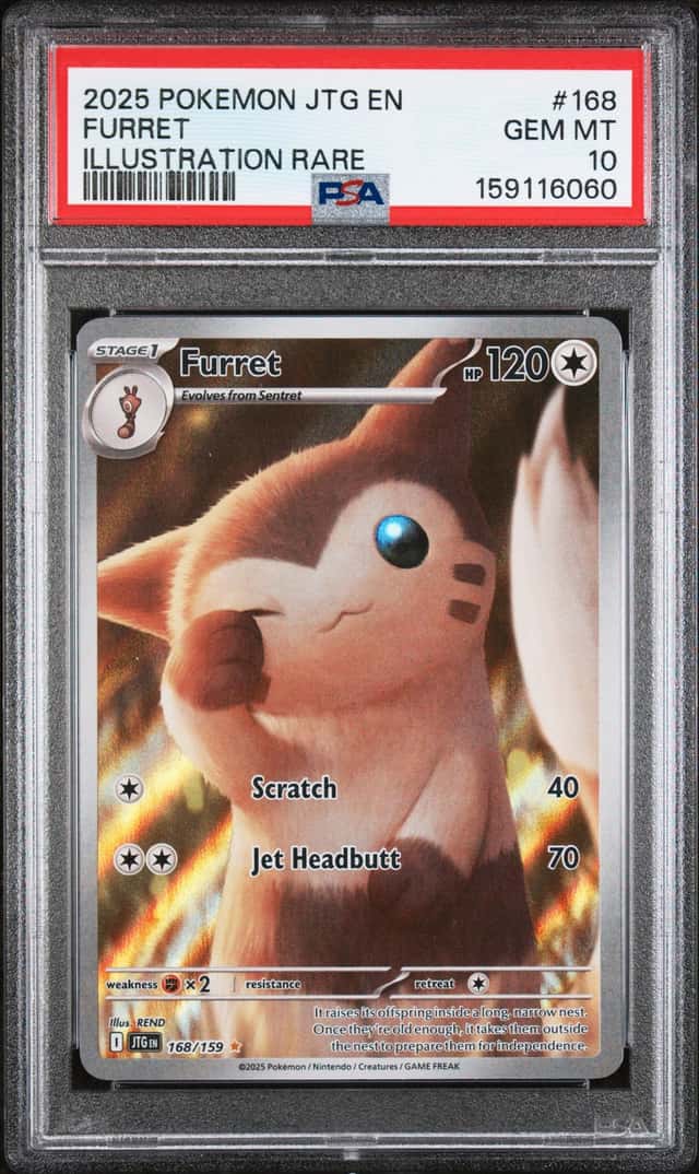 Furret