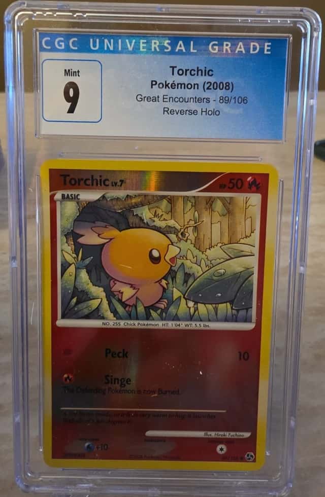 Torchic