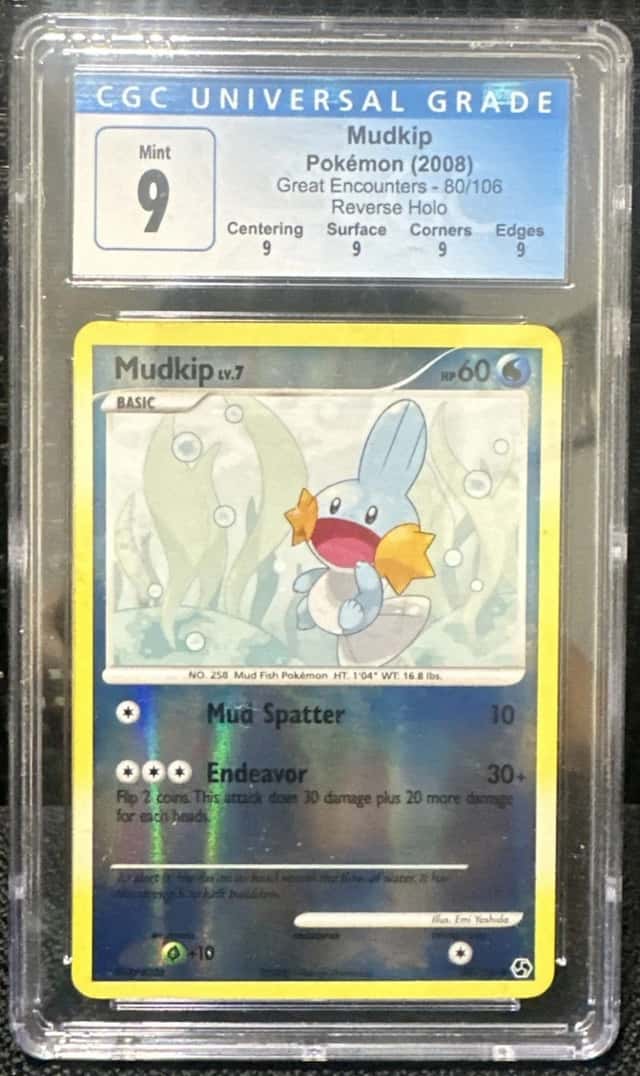 Mudkip