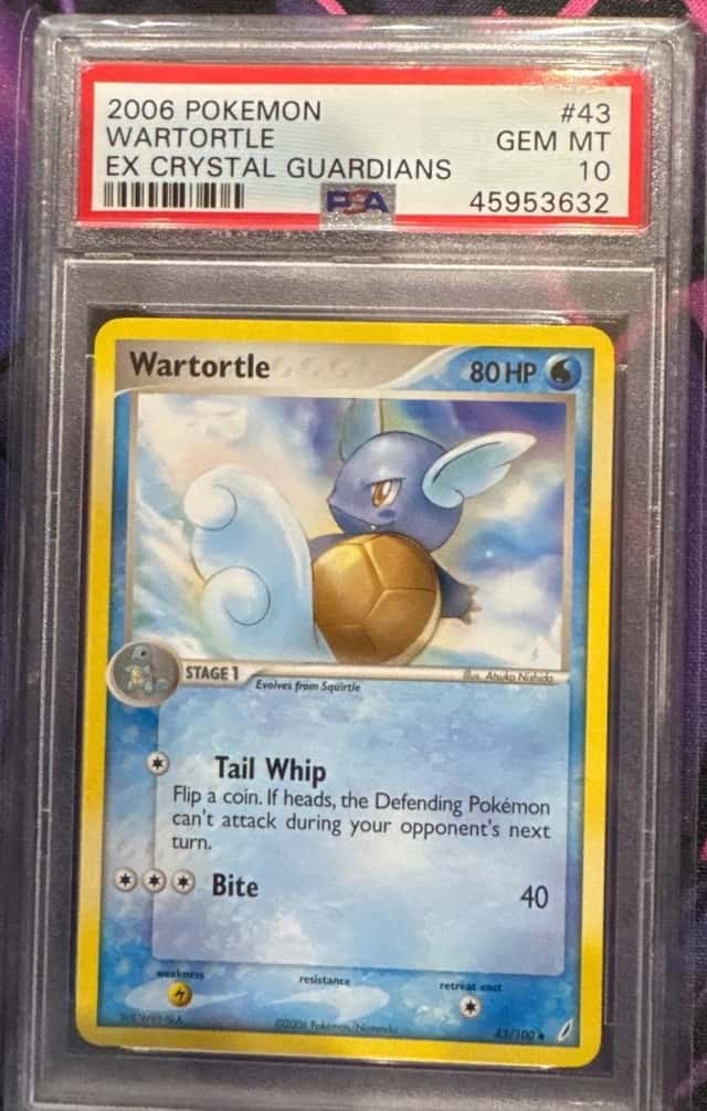 Wartortle
