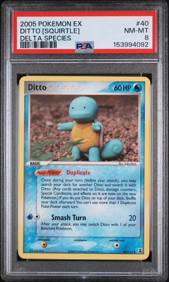 Ditto [Squirtle]
