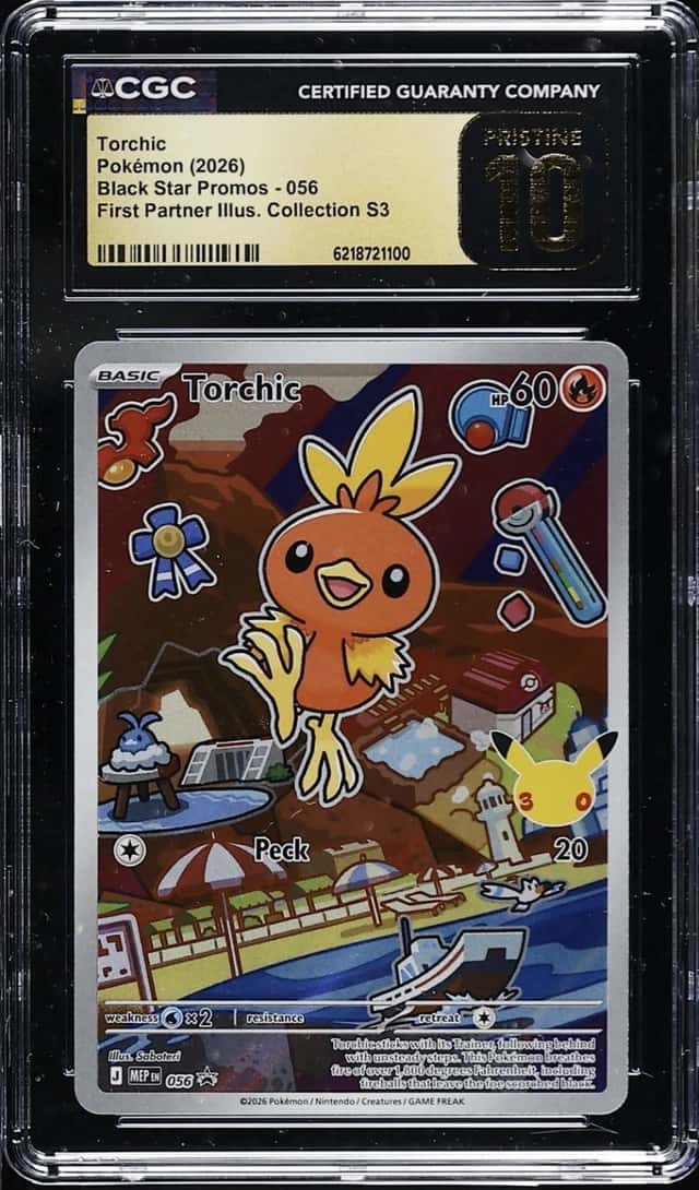 Torchic