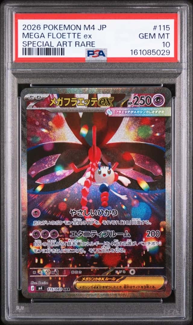 MEGA FLOETTE ex