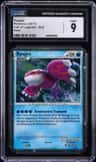 Kyogre