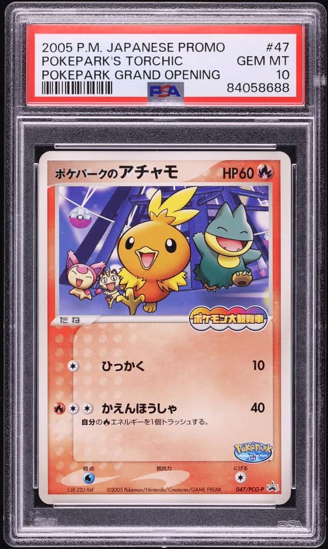 Pokepark's Torchic