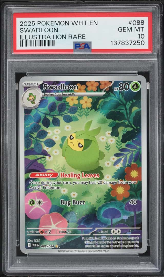 Swadloon