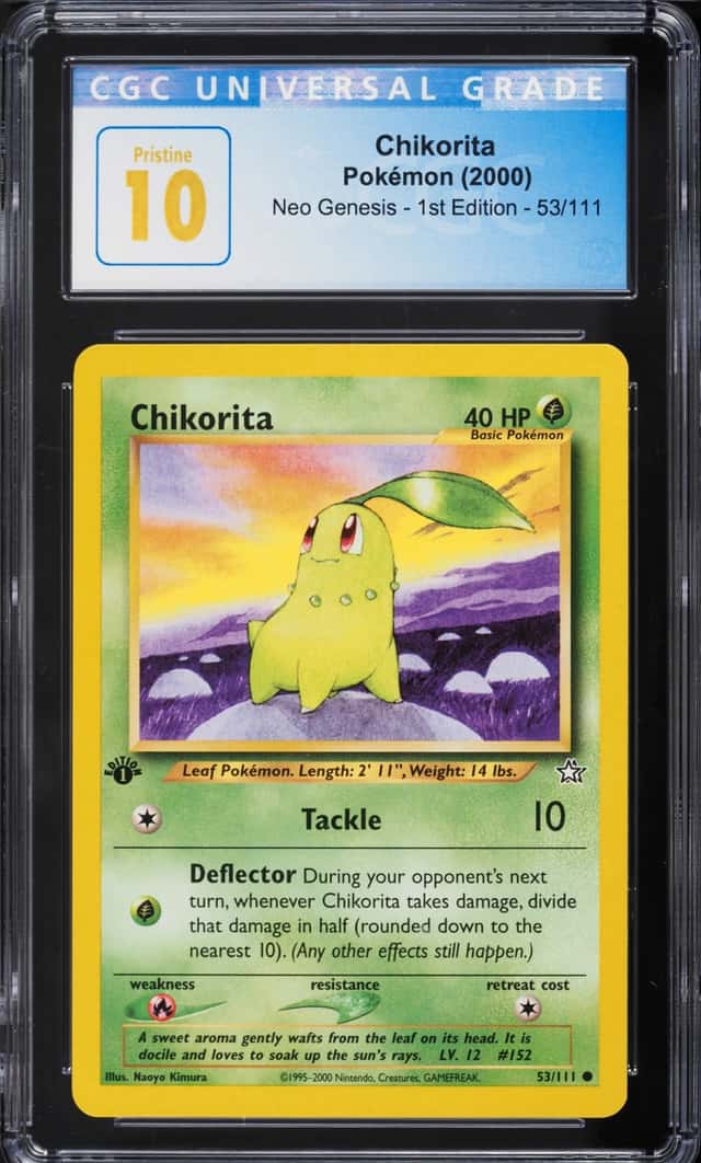 Chikorita