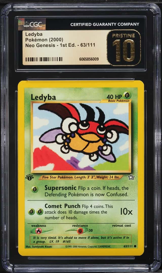 Ledyba