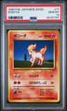 Ponyta