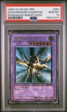 Gaia/dragon Champion