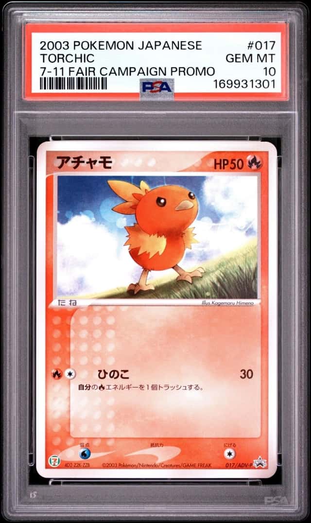 Torchic