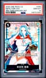 Nefeltari Vivi