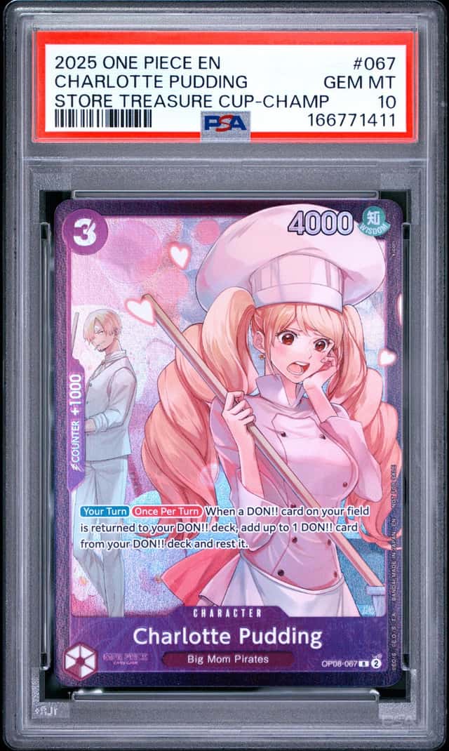 Charlotte Pudding
