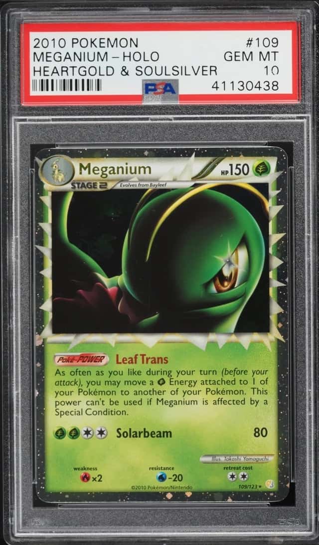 Meganium