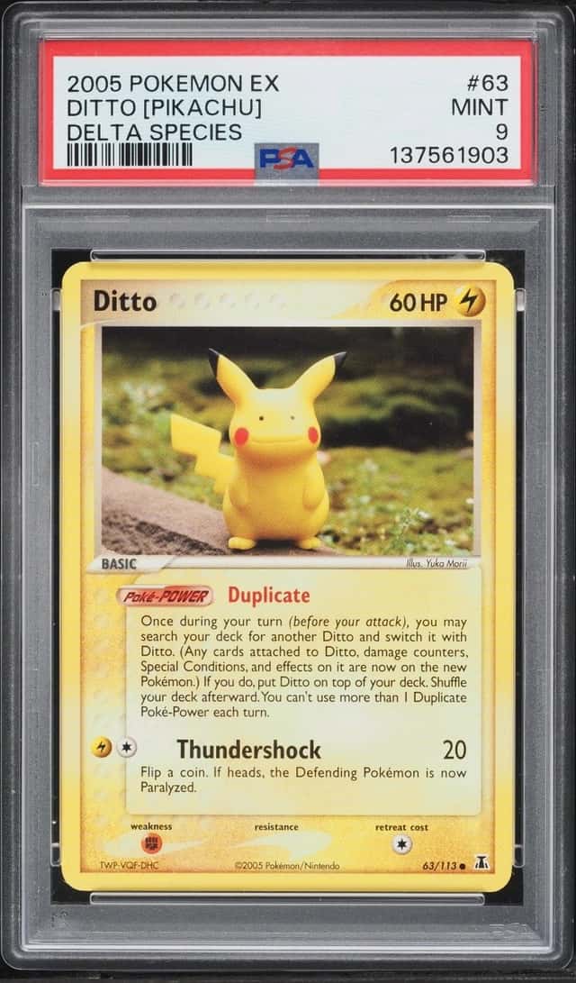 Ditto [Pikachu]