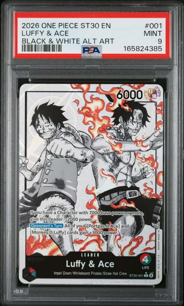 Luffy & Ace