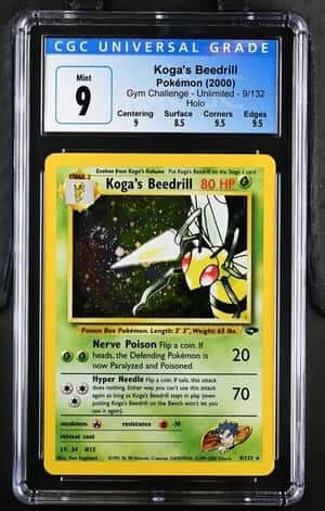 Koga's Beedrill