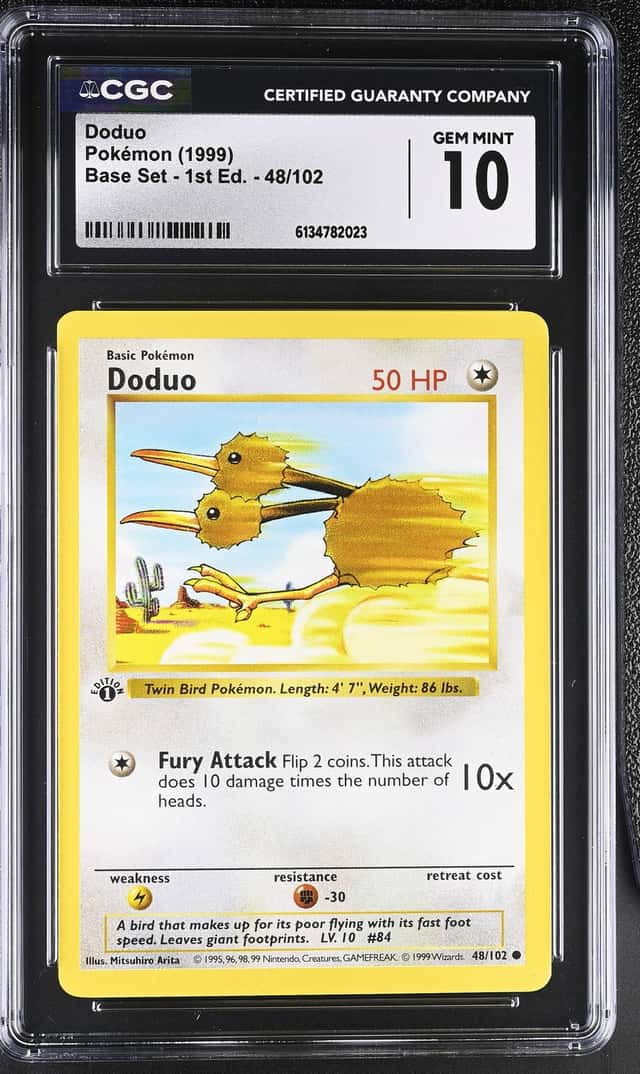 Doduo