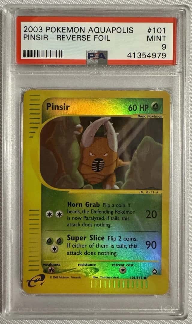 Pinsir