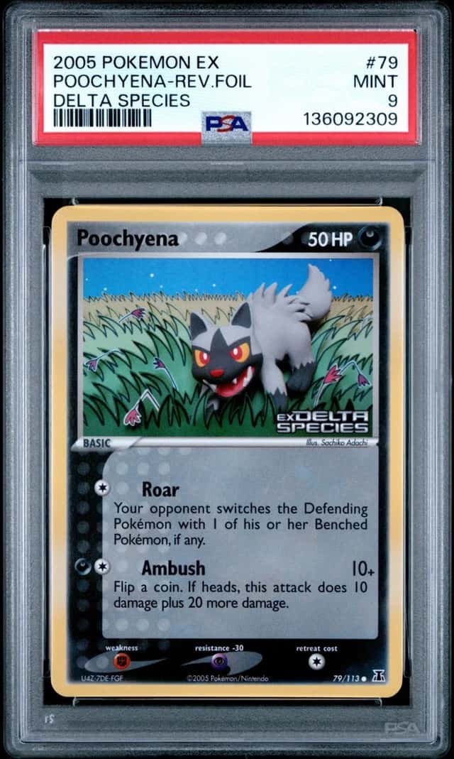 Poochyena