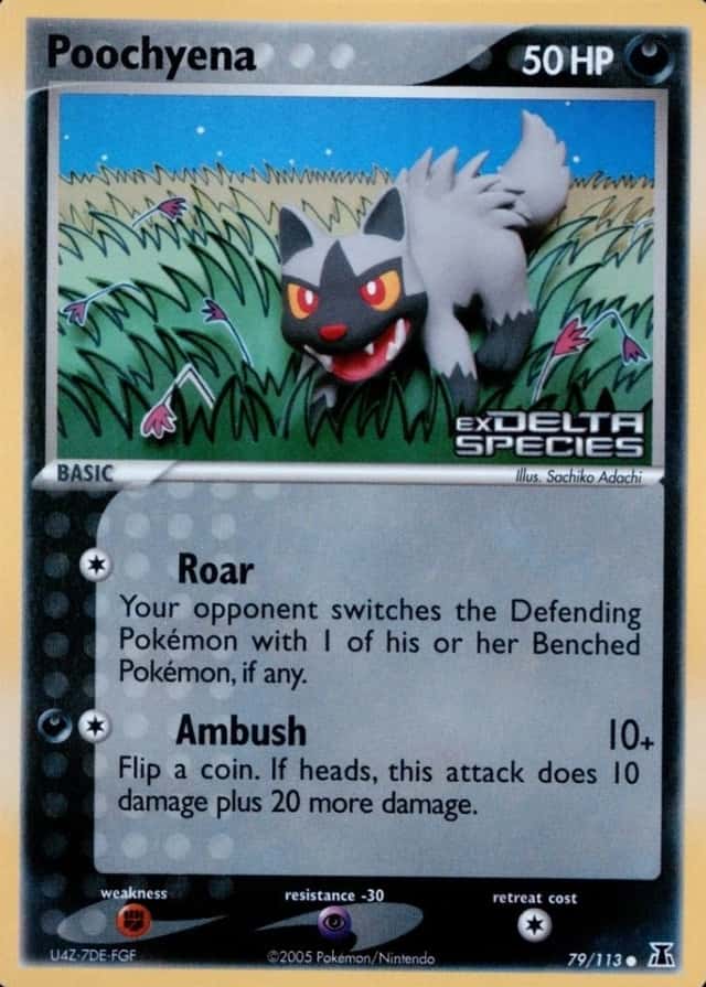 Reverse Holo
