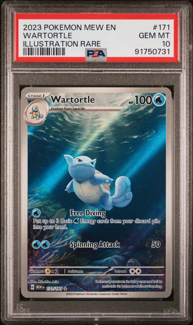 Wartortle